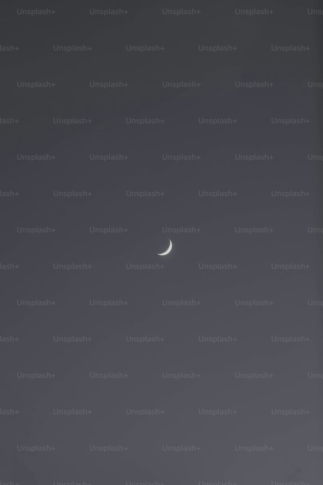 迷倒海外顶流明星的魔性动画《面条和面包》剧集全网上线